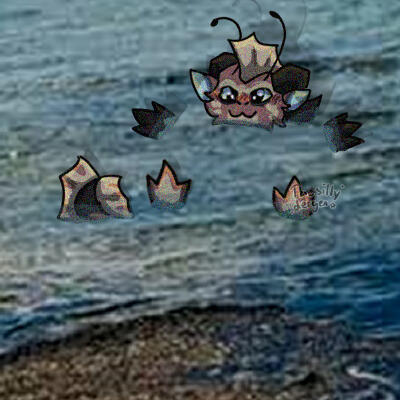 Dusk Swim